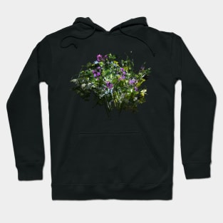 springtime woodland forest plants and flowers art collage Hoodie